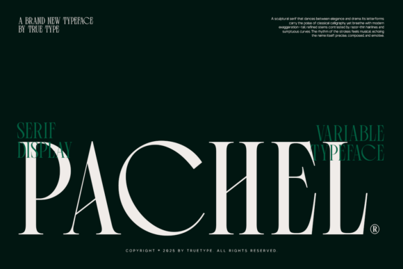 Download Pachel - Premium Resources